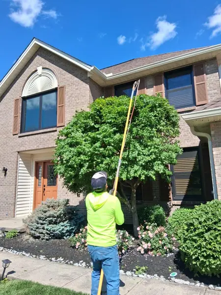 Crew member trimming an ornamental tree in front of a brick home with a pole saw